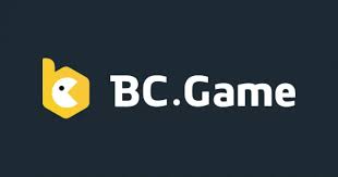Your Privacy Matters Understanding BC.Game's Privacy Policy